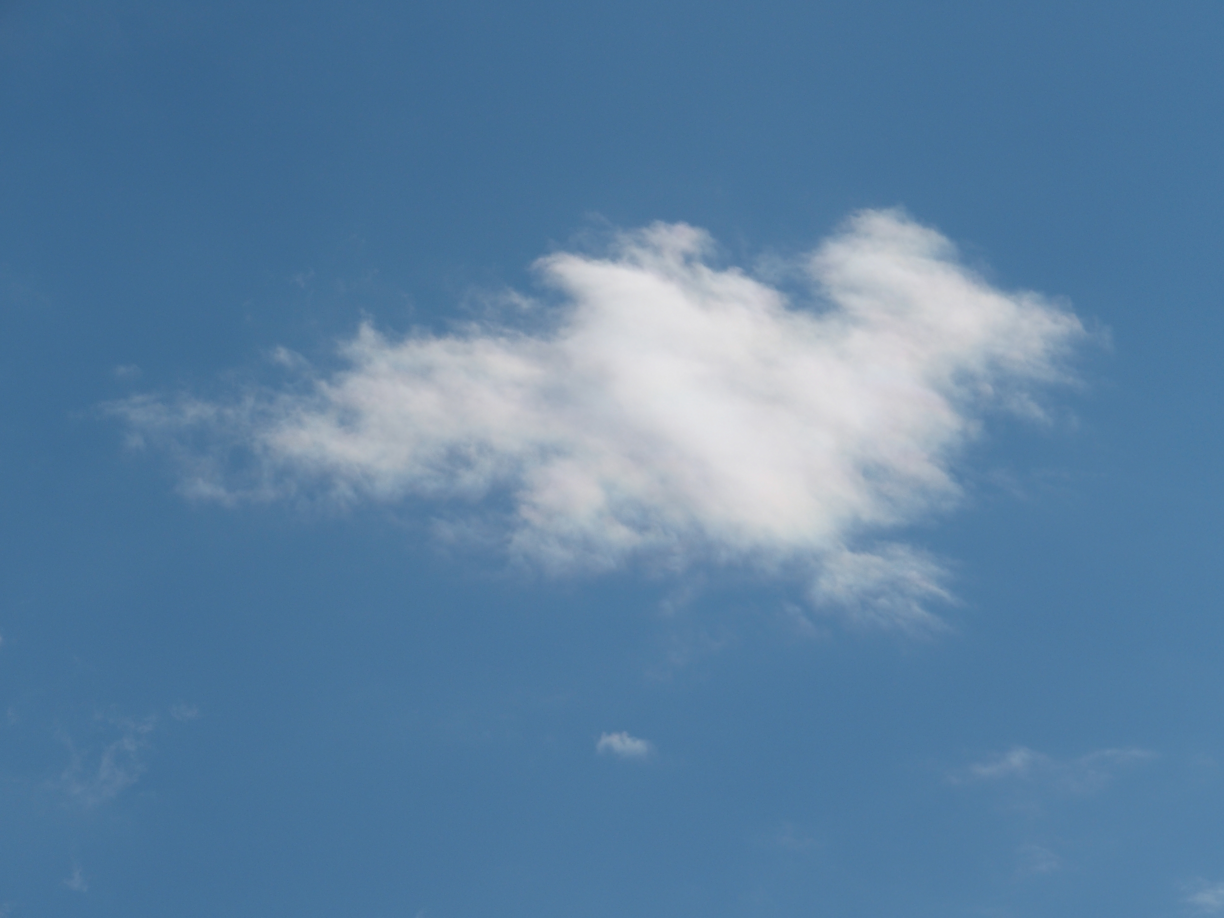 La Tete Dans Les Nuages Belle Epine » La tête dans les nuages pour rêver Crocusmode